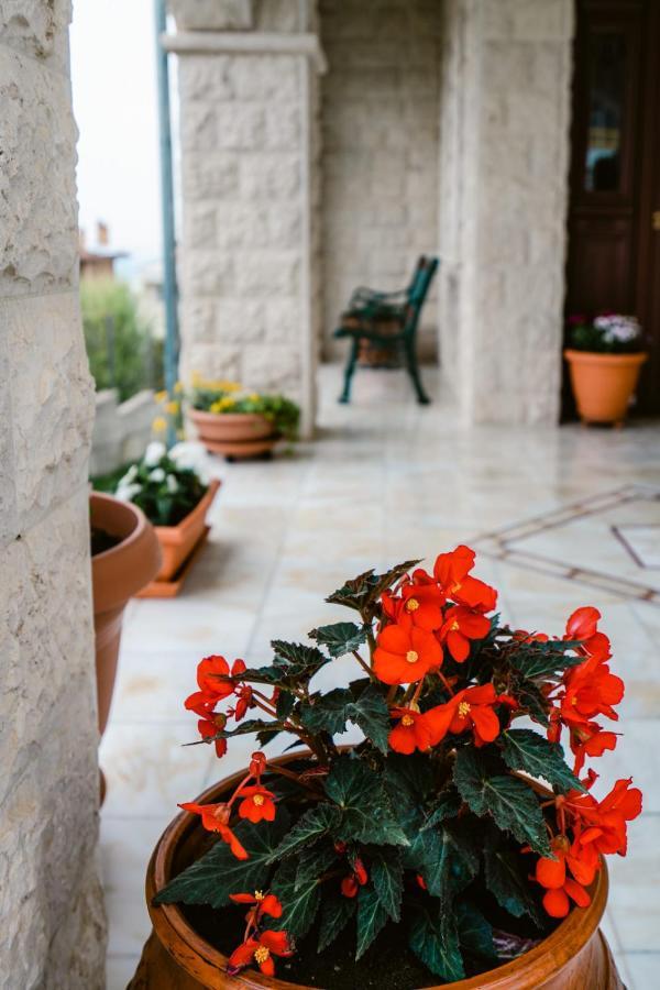 Veria Panorama Luxury Suite With Garden. ภายนอก รูปภาพ